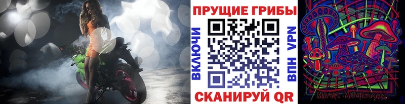 Галлюциногенные грибы Psilocybine cubensis  Купить где  Нижний Новгород 